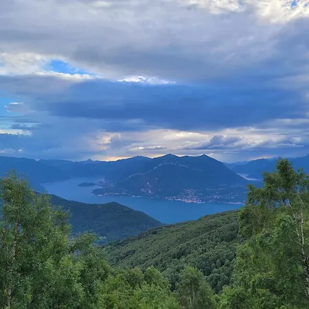Проживание в семье Bella Vista