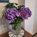 홈스테이 Bella Vista *